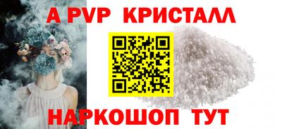 стафф Камышлов