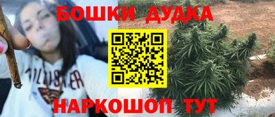 мяу мяу мука Кандалакша