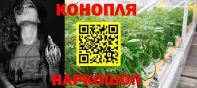 мяу мяу мука Кандалакша