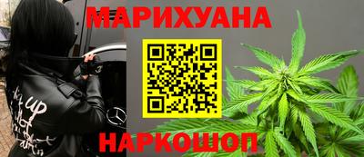 стафф Камышлов