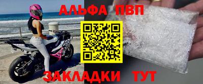 стафф Камышлов