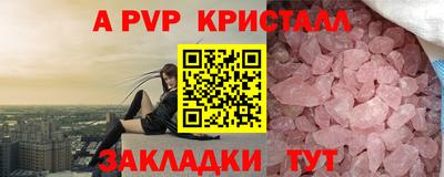 стафф Камышлов