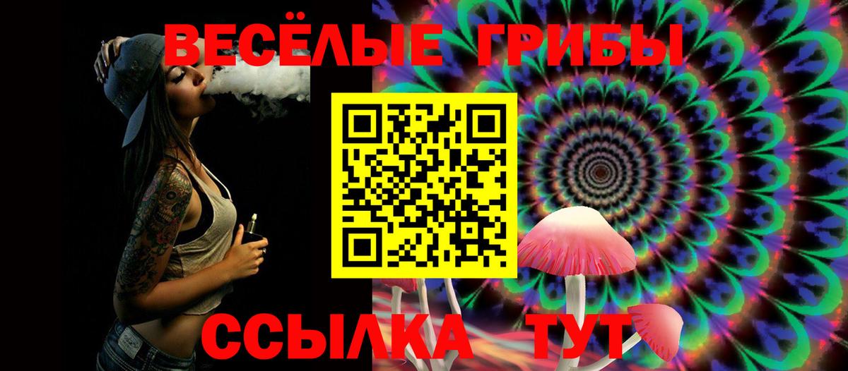 Кушва  Псилоцибиновые грибы прущие грибы  Вход с VPN 